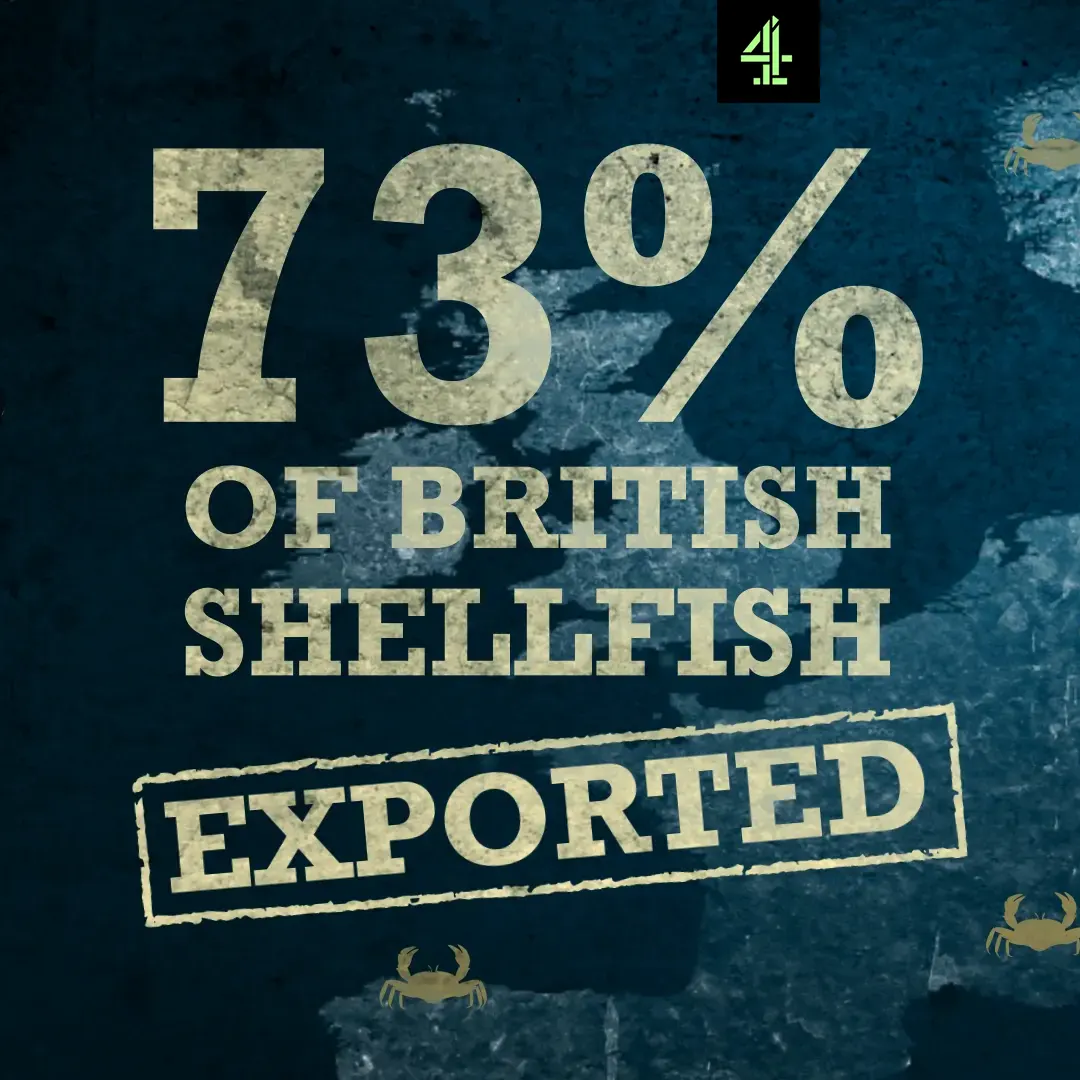 channel 4 big fish fight thumb 