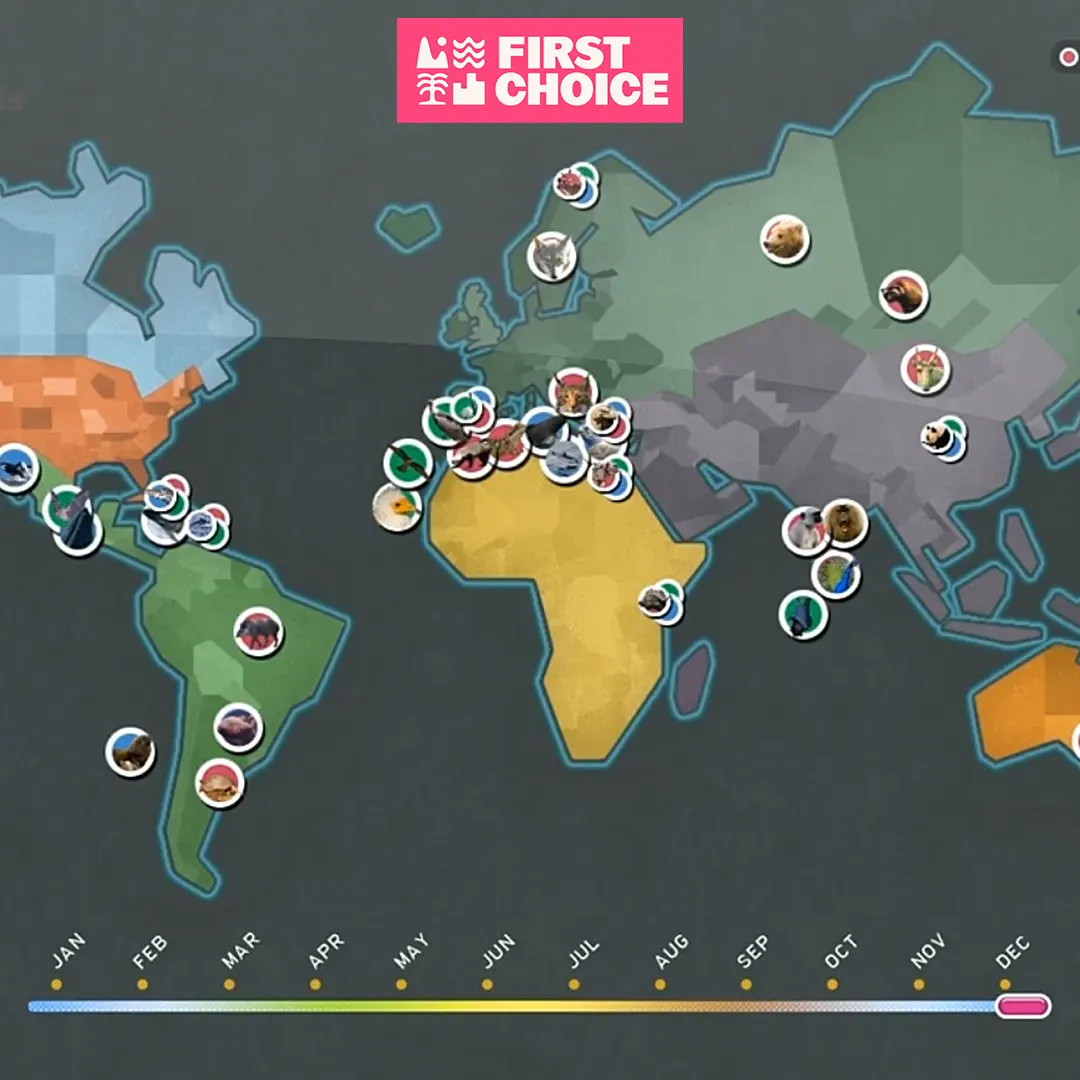 first choice where in the world thumb 