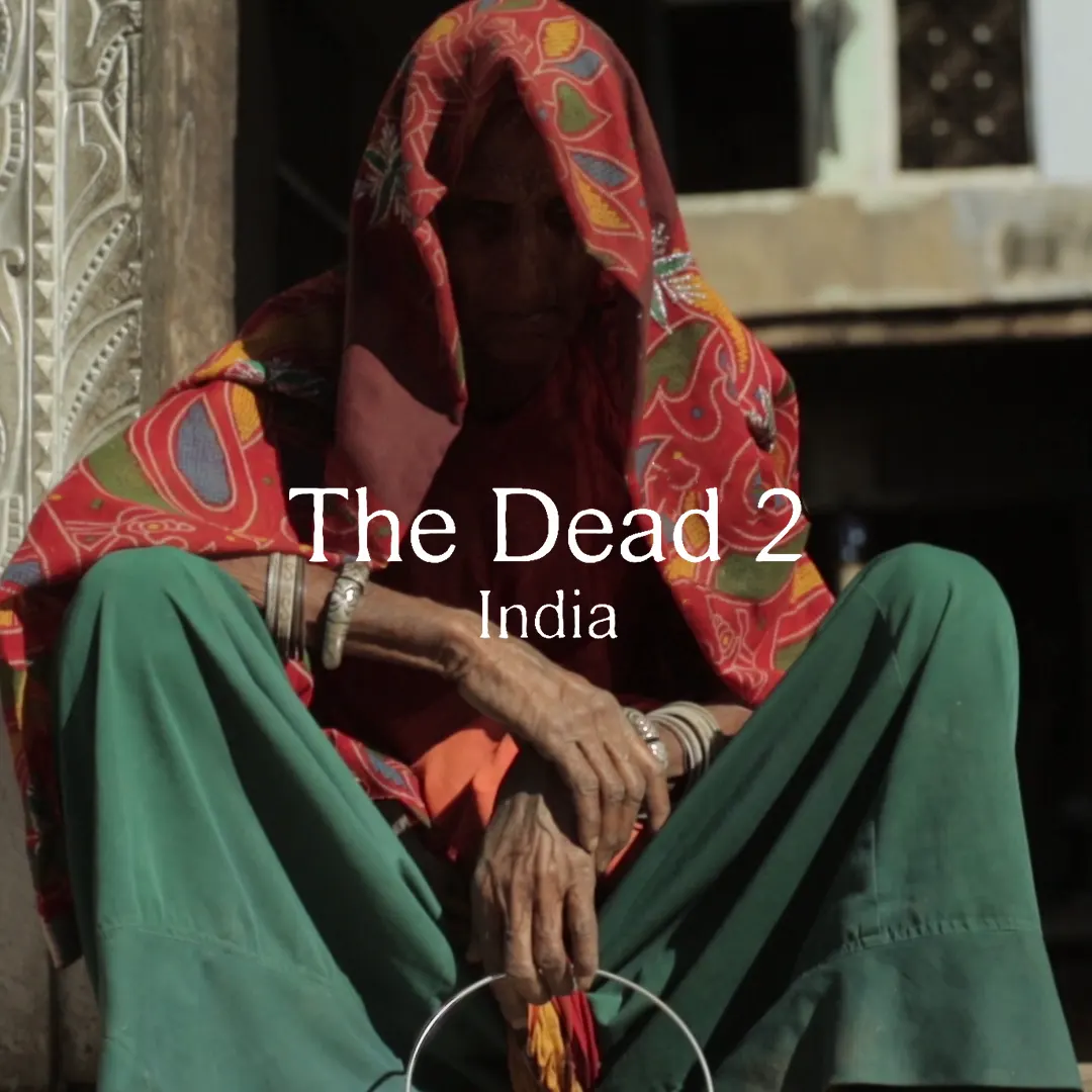 the dead 2 india thumb 
