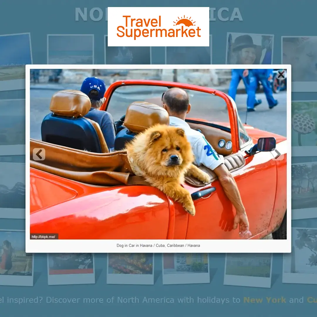 travelsupermarket capture the colour thumb 